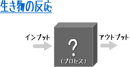 y0001